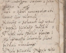 Criminal Records of City of Miechów, case 11